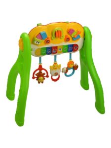 Fun Activity Gym, Multi Color