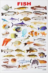 Fish Chart