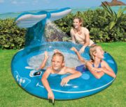 Intex whale spray pool 2