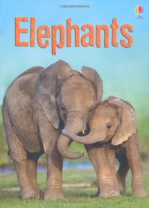 elephants