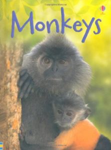 monkeys