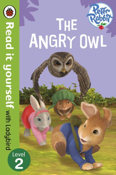 angry owl