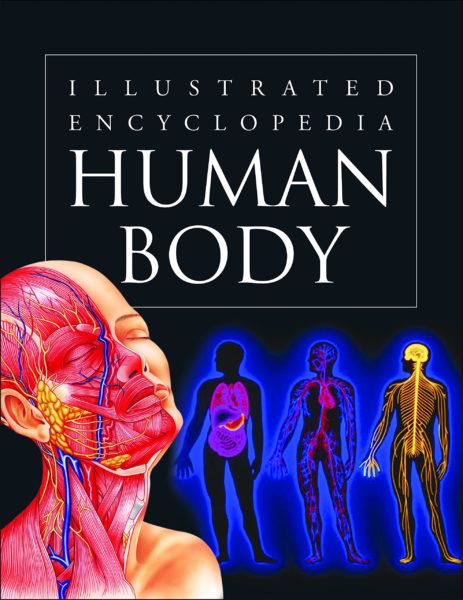 human body