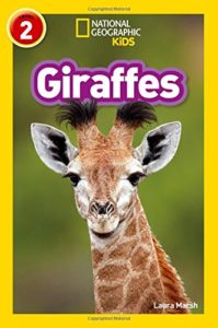 national giraffe
