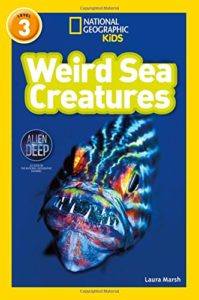 weird sea creatures